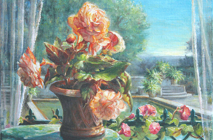 Begonias with a view of a garden